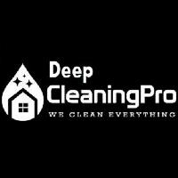Deep Clean Pros image 1